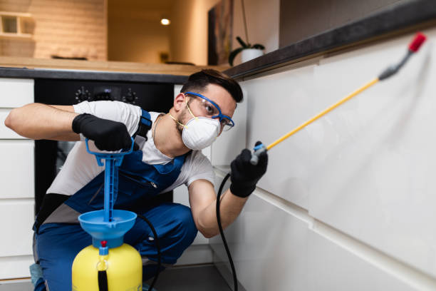 Best Affordable Pest Control Services  in Woods Creek, WA
