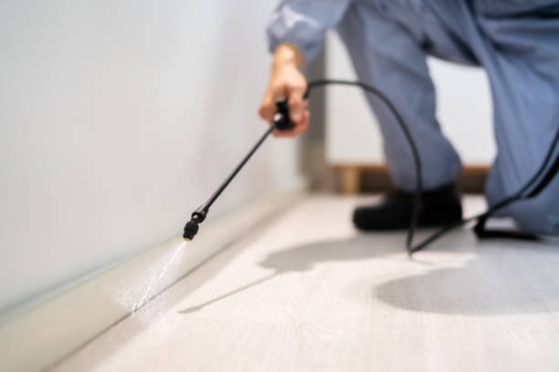 Pest Control Cost in Woods Creek, WA