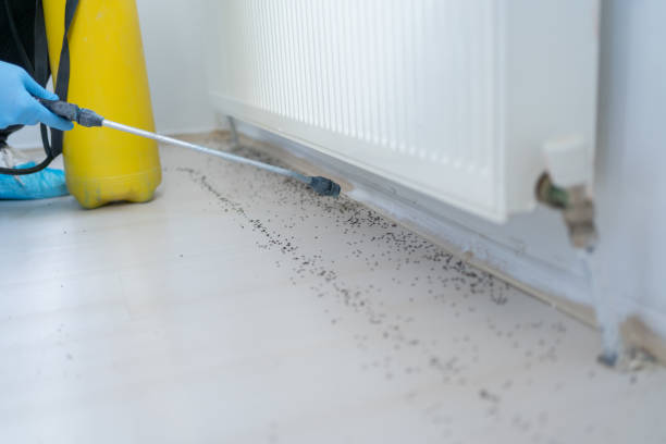 Best Exterminator Services  in Woods Creek, WA
