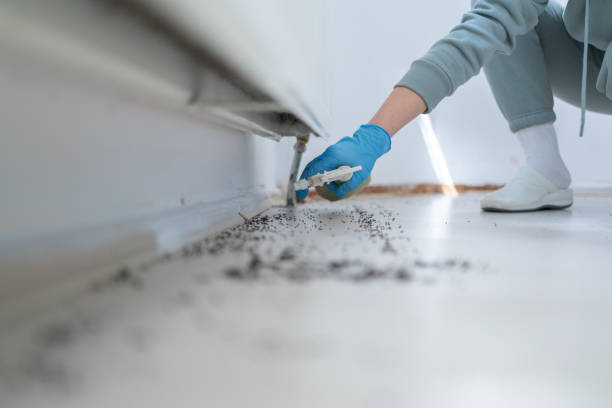 Best Affordable Pest Control Services  in Woods Creek, WA